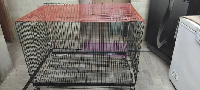 grey parrot cage available for sale