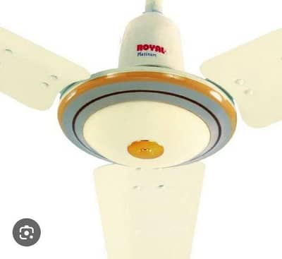 royal fans new condition