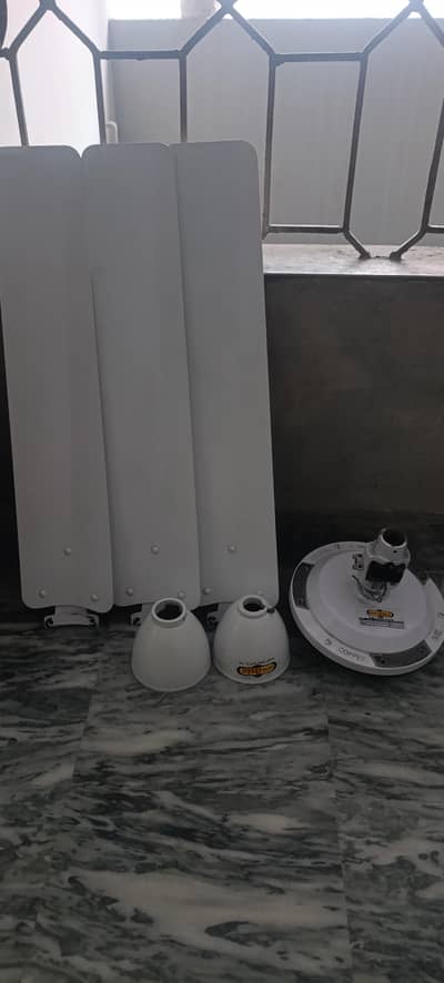 4 royal and super asia fans for sale