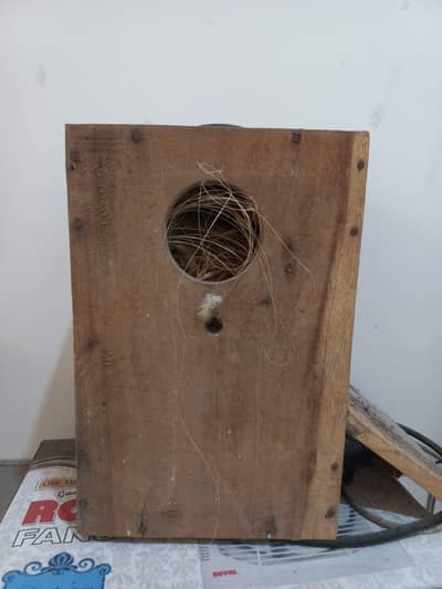 lovebird freeding box