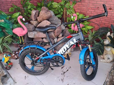Royal Kids Cycle Imported