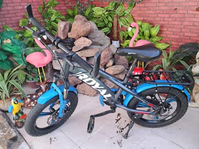 Royal Kids Cycle Imported