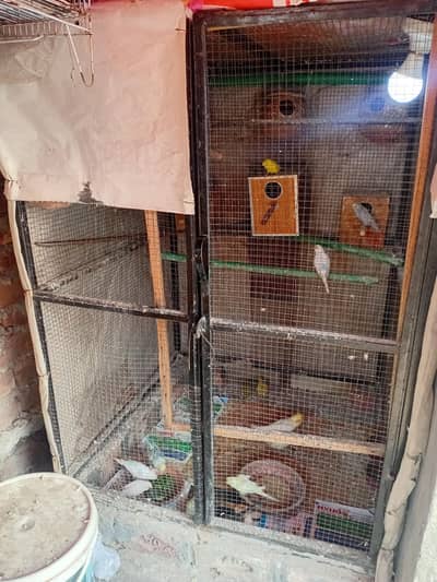 Iron Cage for Sale for Birds and Pets 0322-5296432