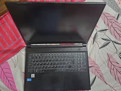 i7 10th with 3060 gpu gaming laptop