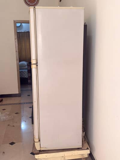 pel ka freege hai  35000