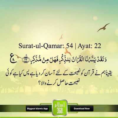 FULL HOME GYM SETUP FOR SALE – 50KG WEIGHTS & MULTI-STATION 