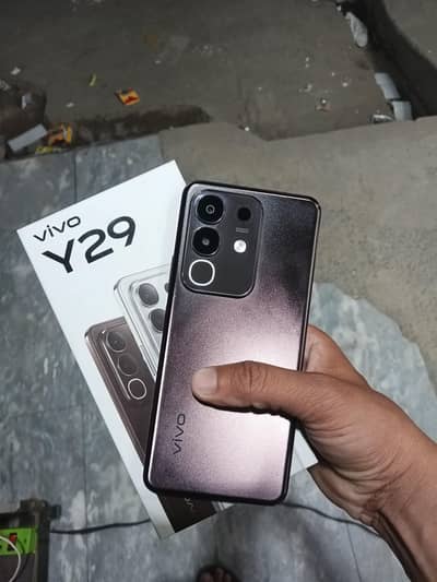 Vivo Y29(8+128)