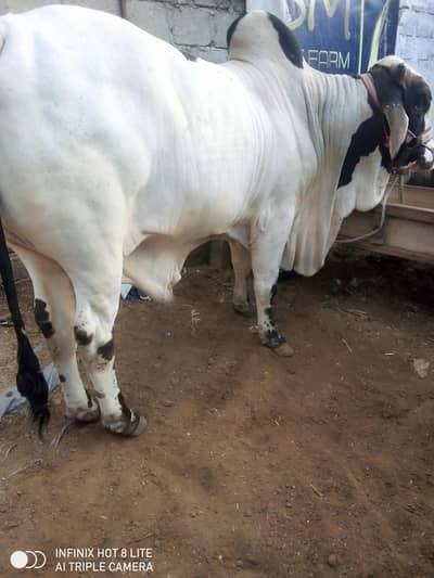 zerothreeoneonethreetwosevensixzerotowzero