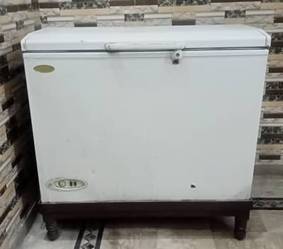 Deep size freezer  Excellent cooling