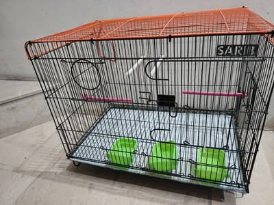 parrot cage