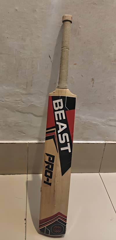 Hard Ball Cricket Bat