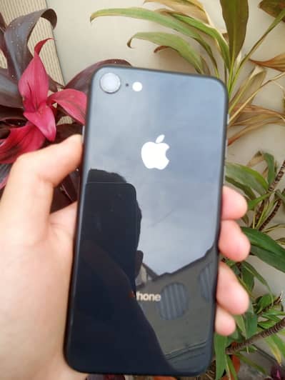 Iphone 8 American set Only Bypass