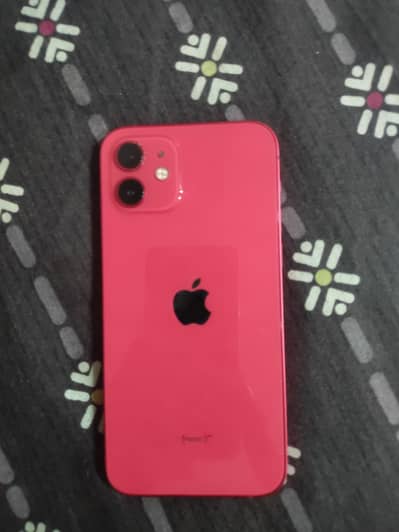 Iphone 12 Non Pta Jv