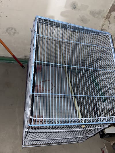 Parrot  cage