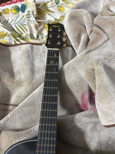 Guitar