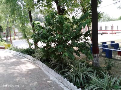 7 kanal Commercial Land Plus Building For sale On Kasur Rai Wind Road ( 03219405082)