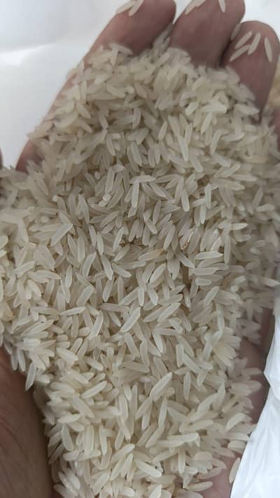 sella shart green vip vip mall available