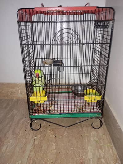 rigneck bechna hai batain karta hai Masha Allah or 26000 Mai bechna ha