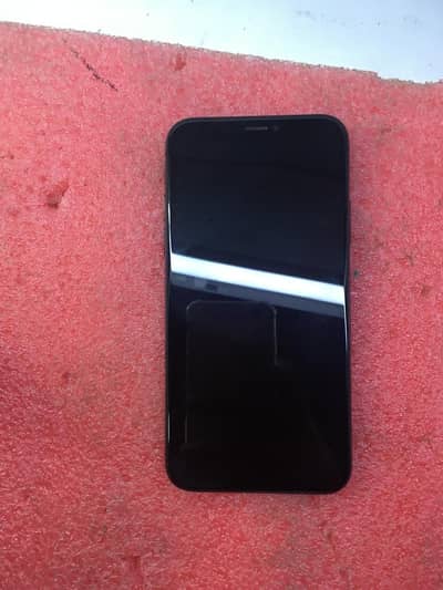 iPhone X panel change