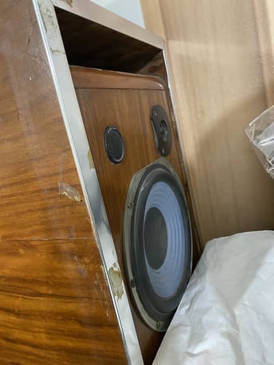 speakr 10 inchs sony k