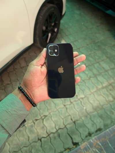 iphone 12 dual pta 128gb