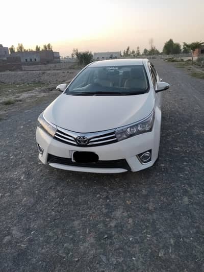 Bumper to bumper genuine