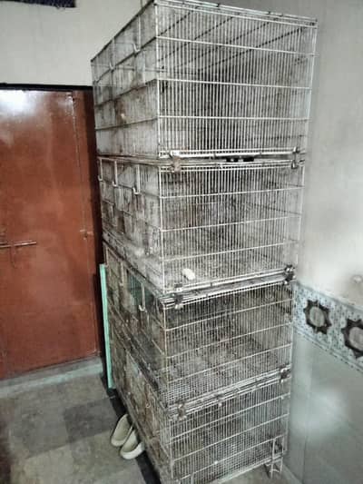 12 portion master cage