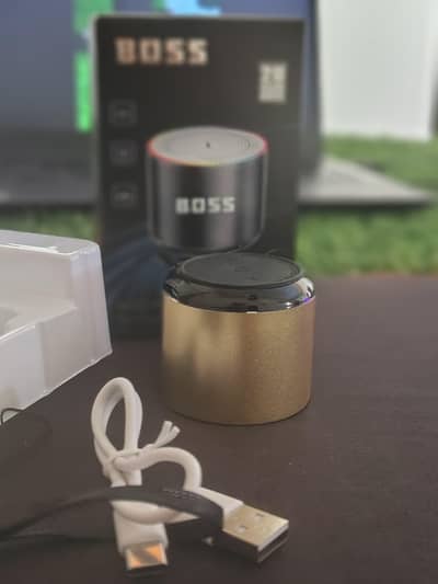 Boss Mini Speaker With RGB Lights 20h Playtime