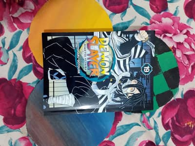 Demon slayer Vol. 19 ( Perfect Condition