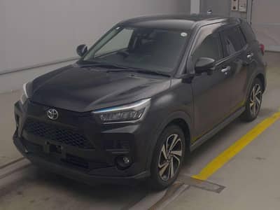 imporred raize for sale