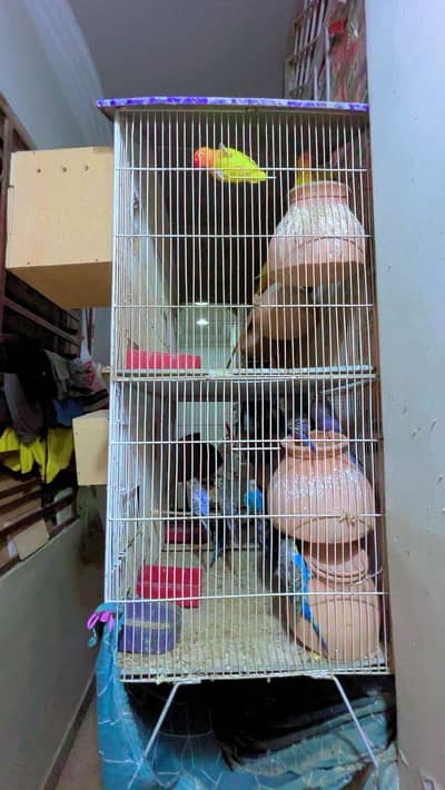 cage for sale in resonable price