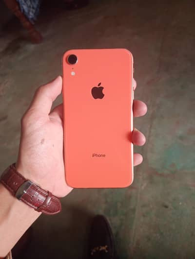 iphone XR jenion