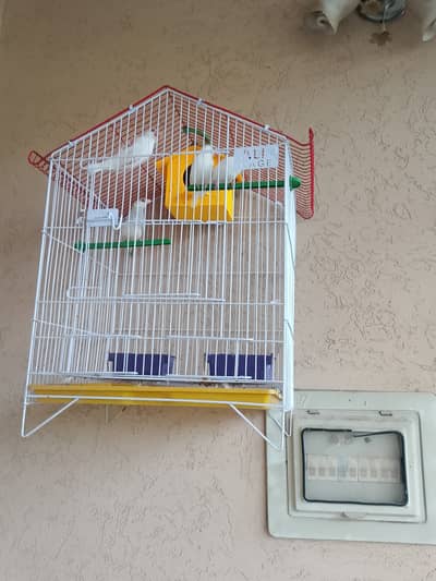 Fenich nargis beautiful pairs