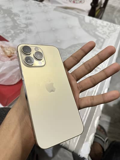 iPhone 14 Pro Max panel change