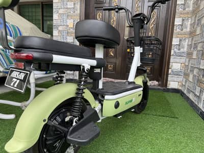 Evee Flipper In Excellent Condition