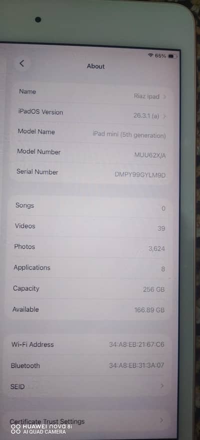 Ipad mini 5 (256gb) for sale