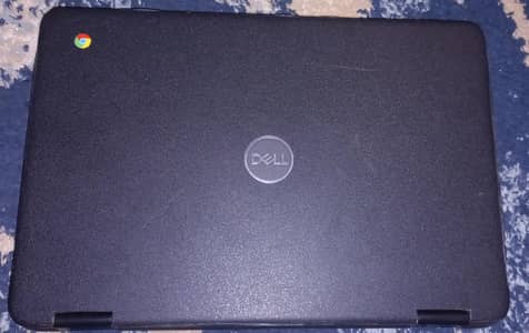 Dell 3100 2 in 1