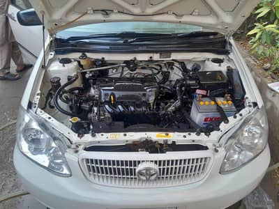 Toyota Xli Seal by Seal