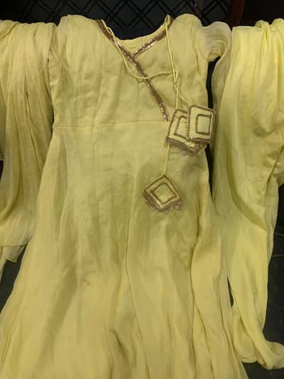 Chiffon Hand made Dress