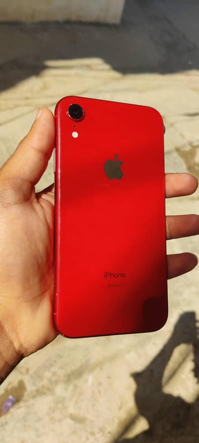 iphone XR 256gb (exchange possible)