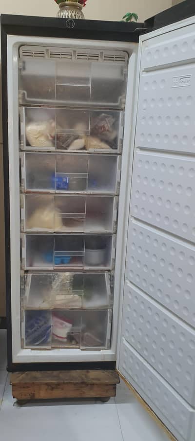 Vertical Single Door Deep Freezer for Sale