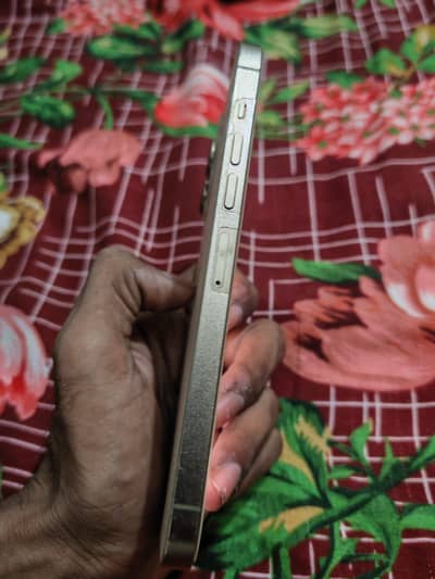 13 pro max  PTA official dual