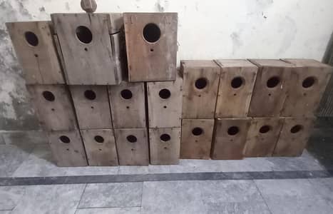 Breeding Boxes