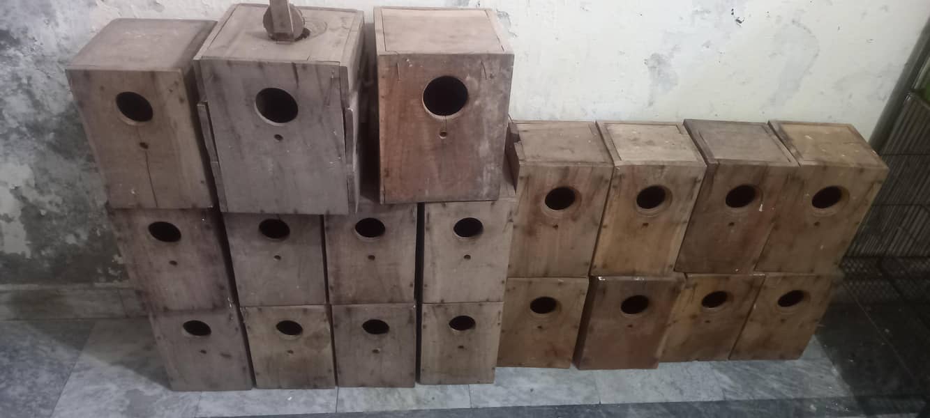 Breeding Boxes 3