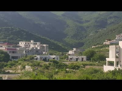 Best Location House In D-12 Investor Price