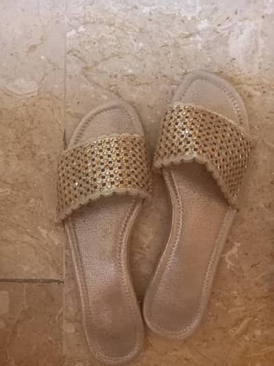 branded stylo and ecs heel shoes