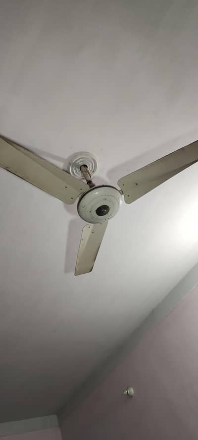 Bilkul ok fan for sell