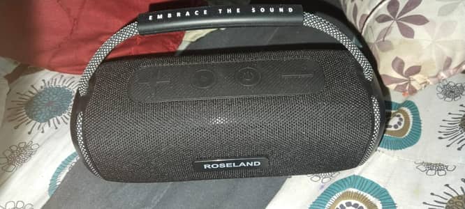 Roseland speaker