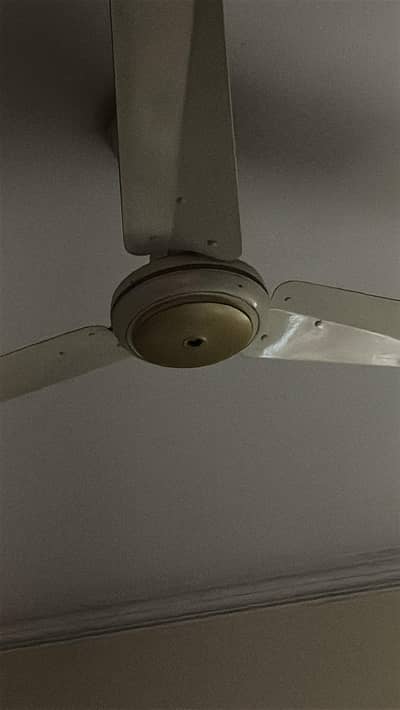 4 Fans For Sale In A1 Condition Sab ka Total Rate 200000