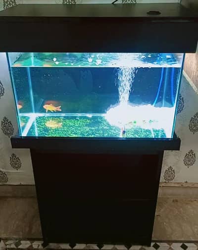 Fish aquarium complete setup for sale